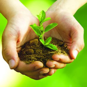 Deepak Fertilisers and Petrochemicals Corporation Ltd